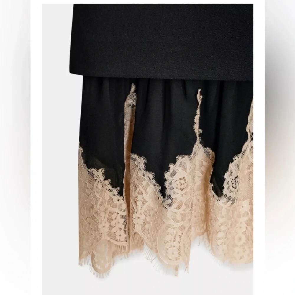 ZARA Combined Lace Skirt ZW Collection - Picture 12 of 15